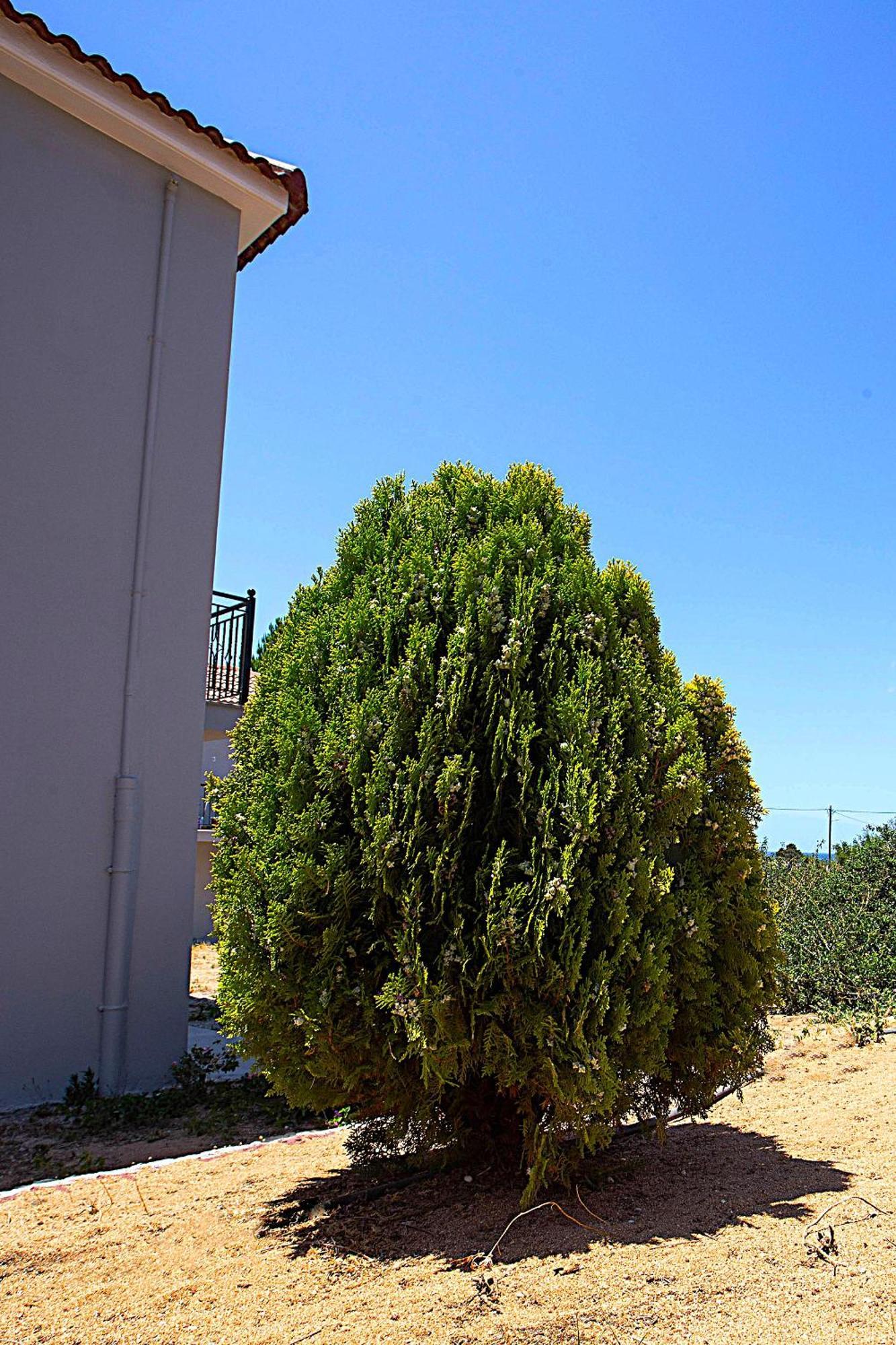 Romanos Beach Villas Buitenkant foto
